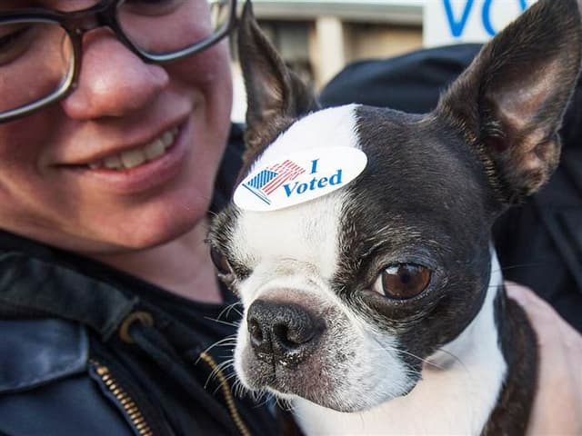 #ICYMI: A Roundup of Nonpartisan Voting Rights News - July 10, 2015