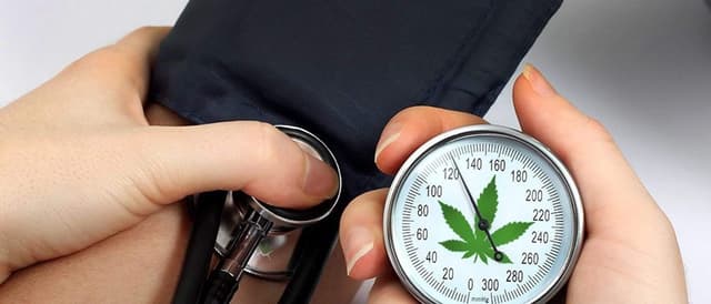 Marijuana and High Blood Pressure: Media Hypes Myth