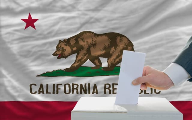 From "Shrooms" to CalExit: California Could Have a Wild 2018 Ballot