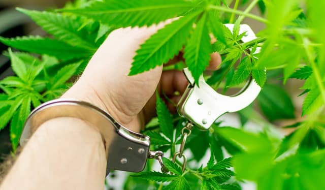 New Report: Marijuana Arrests Increased in 2017 Despite Legalization